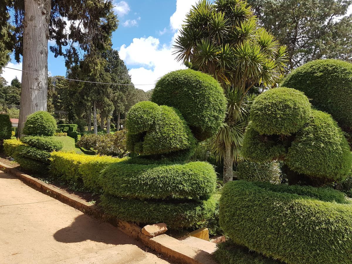 Kstdc Hotel Mayura Sudarshan ,Ooty Εξωτερικό φωτογραφία